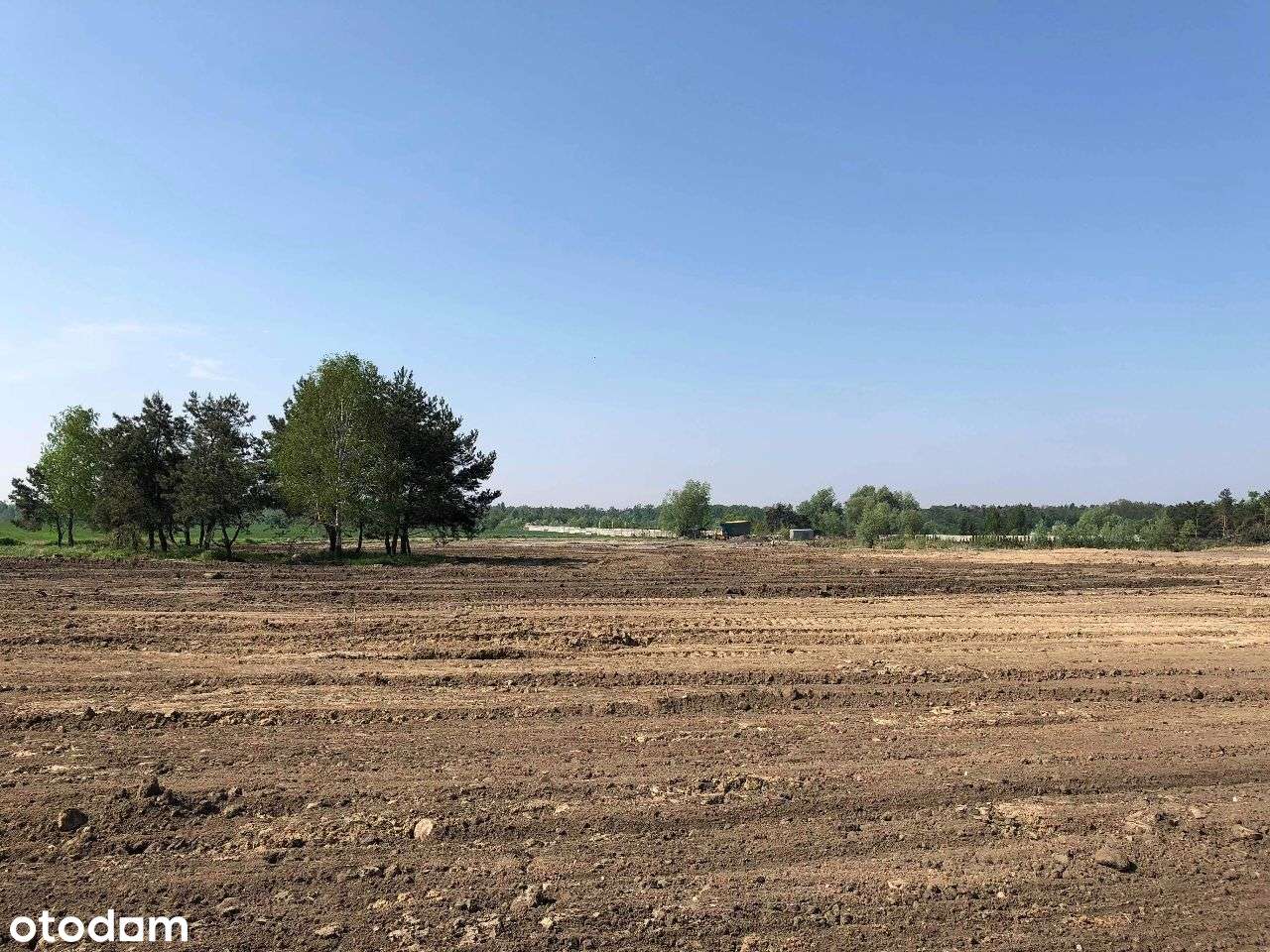 Działka budowlana w Marzeninie-100 zł/m2 - Pełny obrazek: 4/18