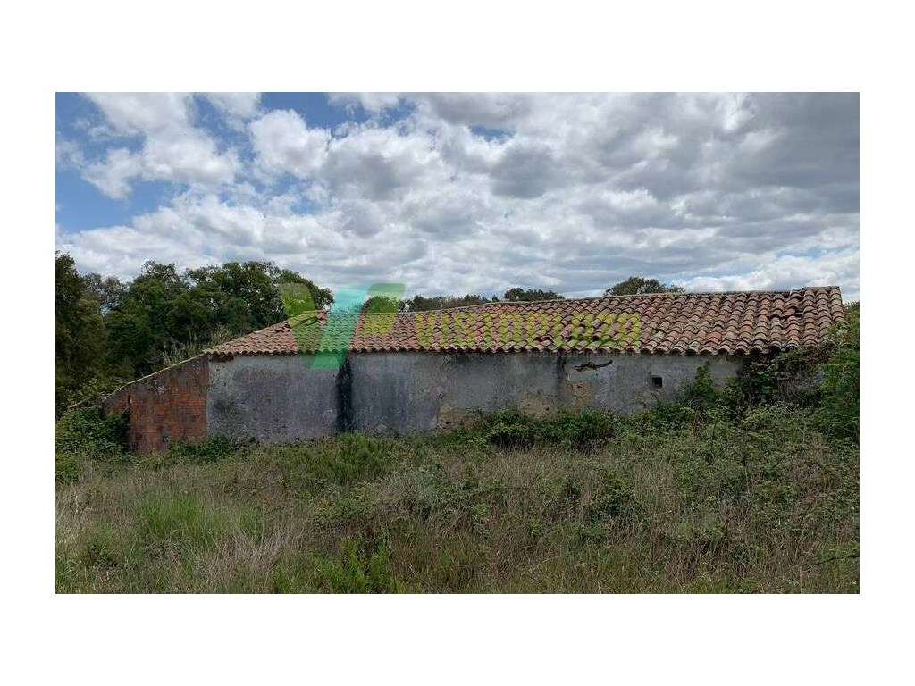 Terreno com 22 Hectares, Duas Ruinas na Zambujeira do Mar - Grande imagem: 4/25