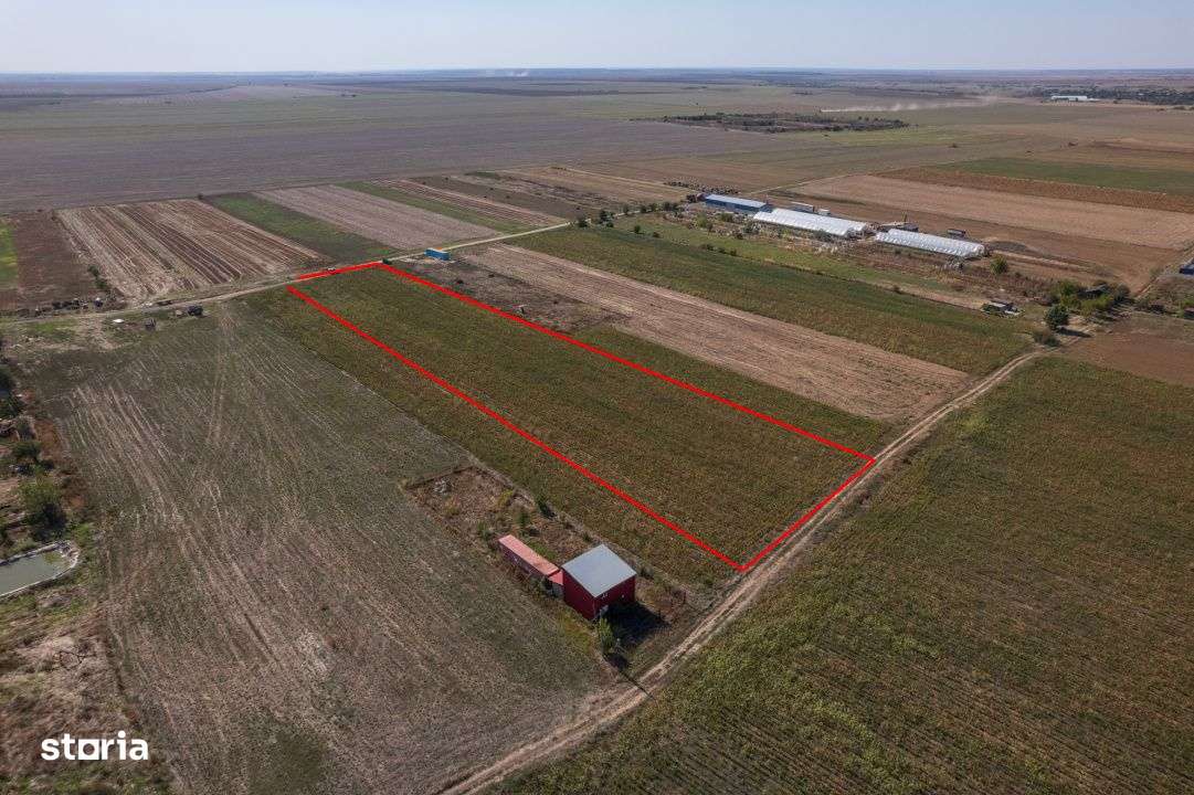 Adunatii Copaceni - Troitei | teren 6 525 mp | zona in dezvoltare - Imagine principală: 5/10