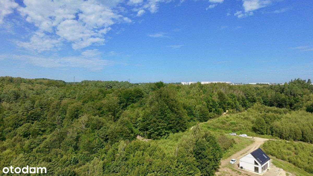 Działka na skraju lasu granicząca z rzeczką - Pełny obrazek: 4/20