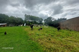 Lote de terreno urbano e terreno rústico - Cabouco - Grande imagem: 5/16