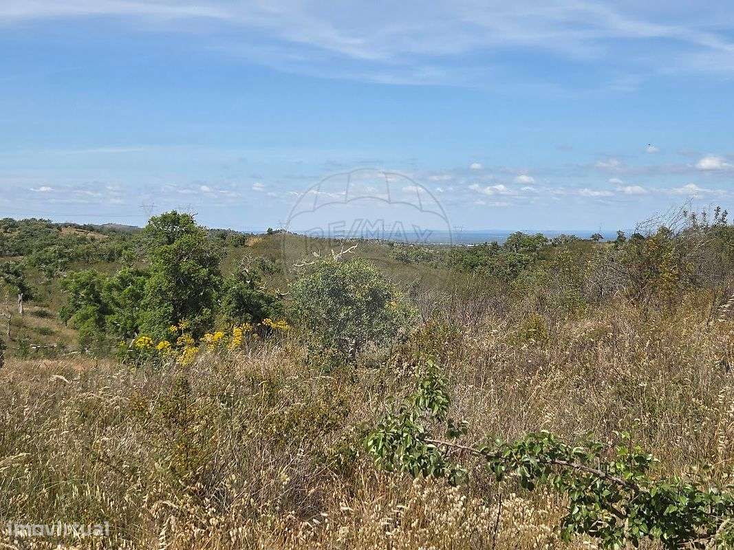 Terreno  para venda-4