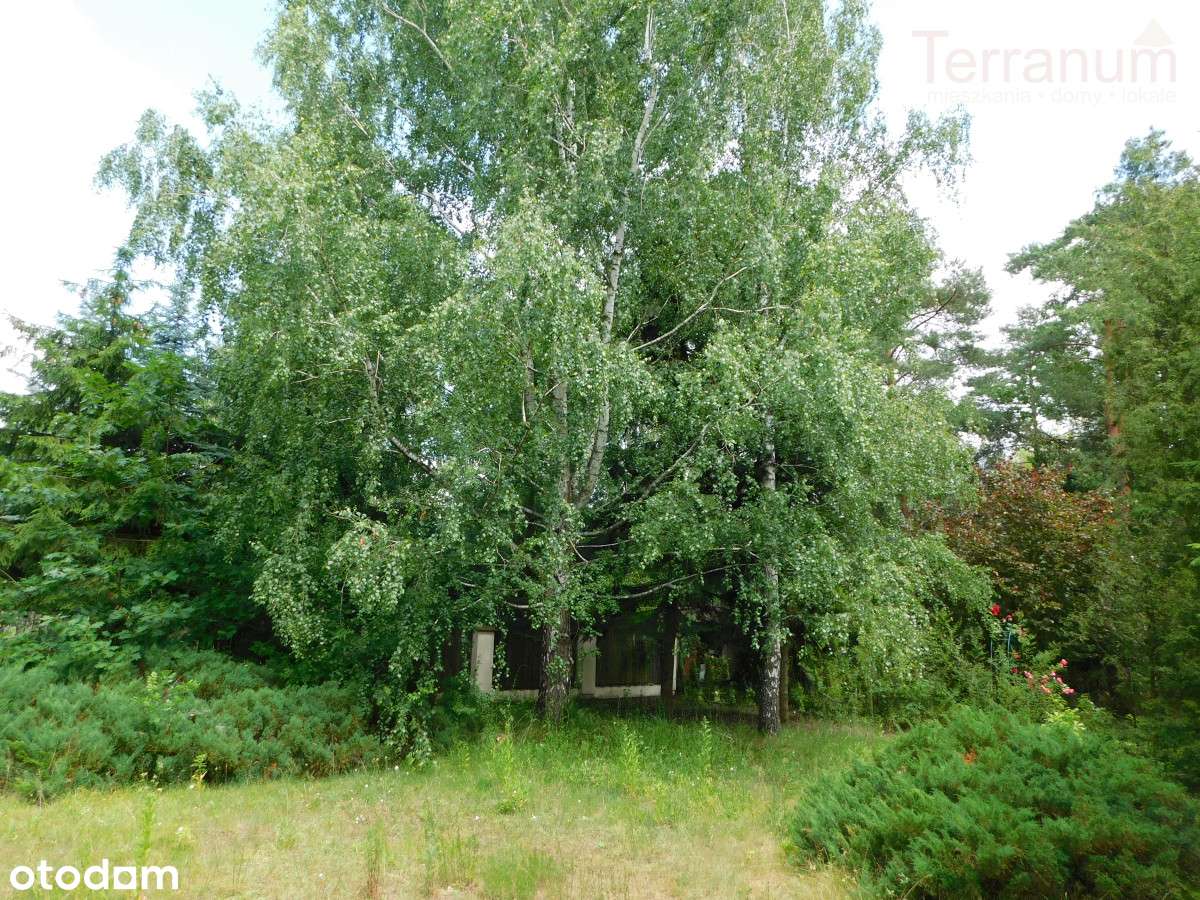 Jachranka - duża działka budowlana - Pełny obrazek: 4/6