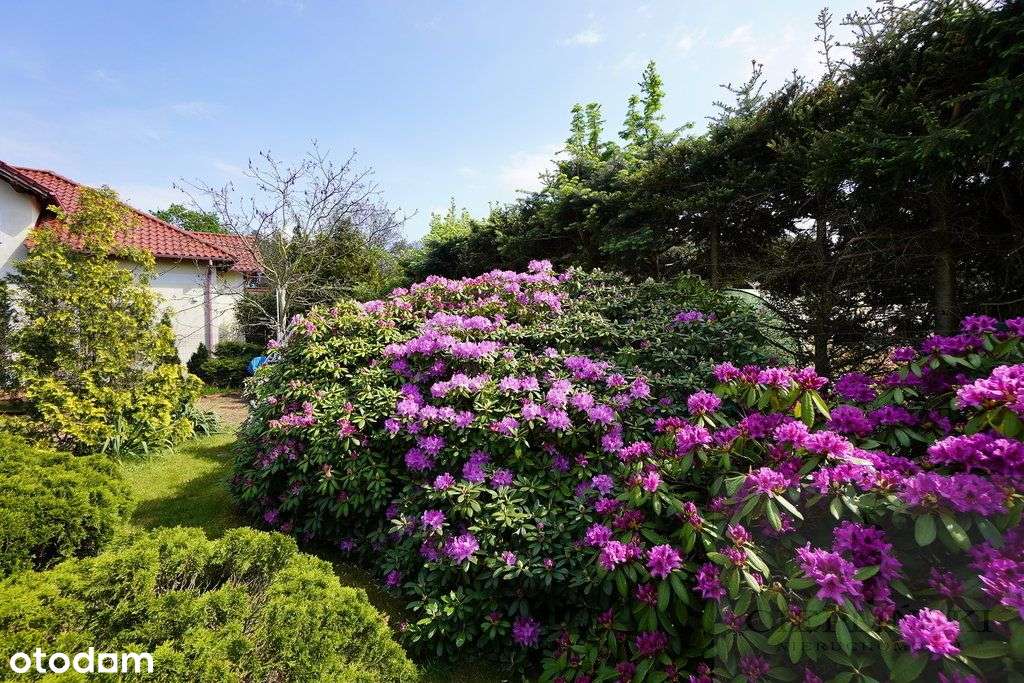 Przestronny dom w Załomiu- sprzedaż - Pełny obrazek: 4/20