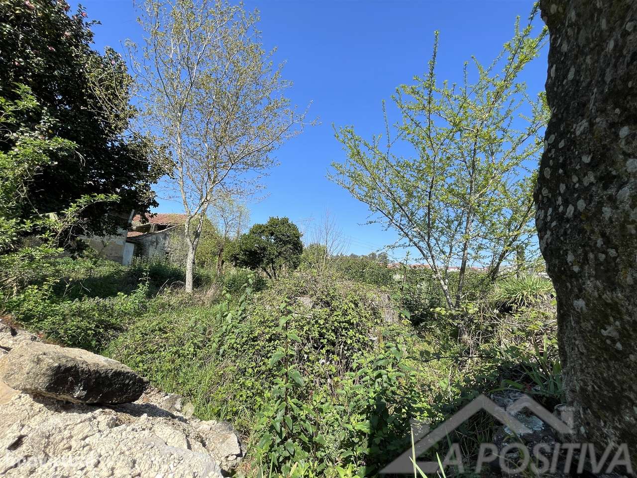 Moradia Devoluta T4 Venda em Milheirós de Poiares,Santa Maria da Feira-15