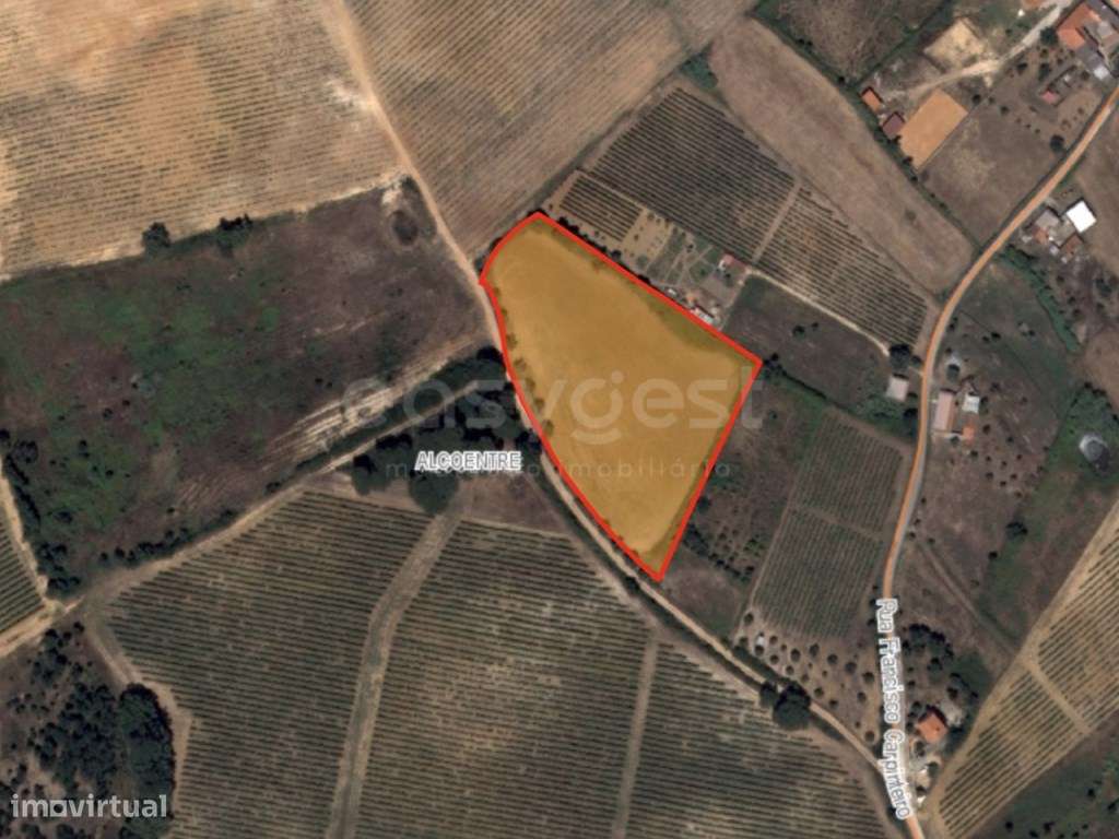 Terreno Rústico com 9600mt2 em Alcoentre, Azambuja - Grande imagem: 2/15