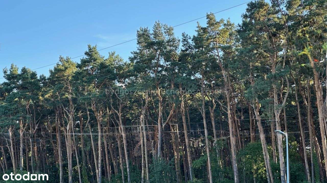 Dom wolnostojący na Czyżkówku-11