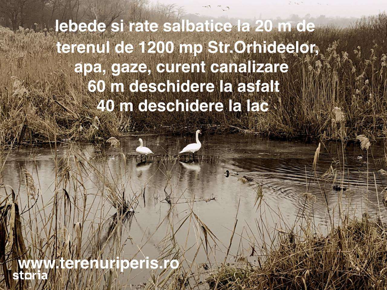 Teren lac Peris IN RATE 1000€, terenuri Tancabesti, Snagov, Corbeanca-0