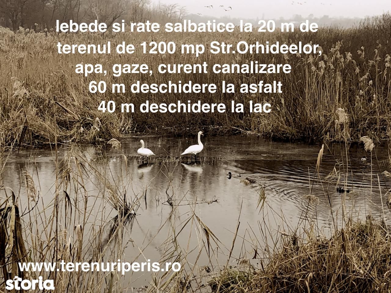 Teren lac Peris IN RATE 1000€, terenuri Tancabesti, Snagov, Corbeanca