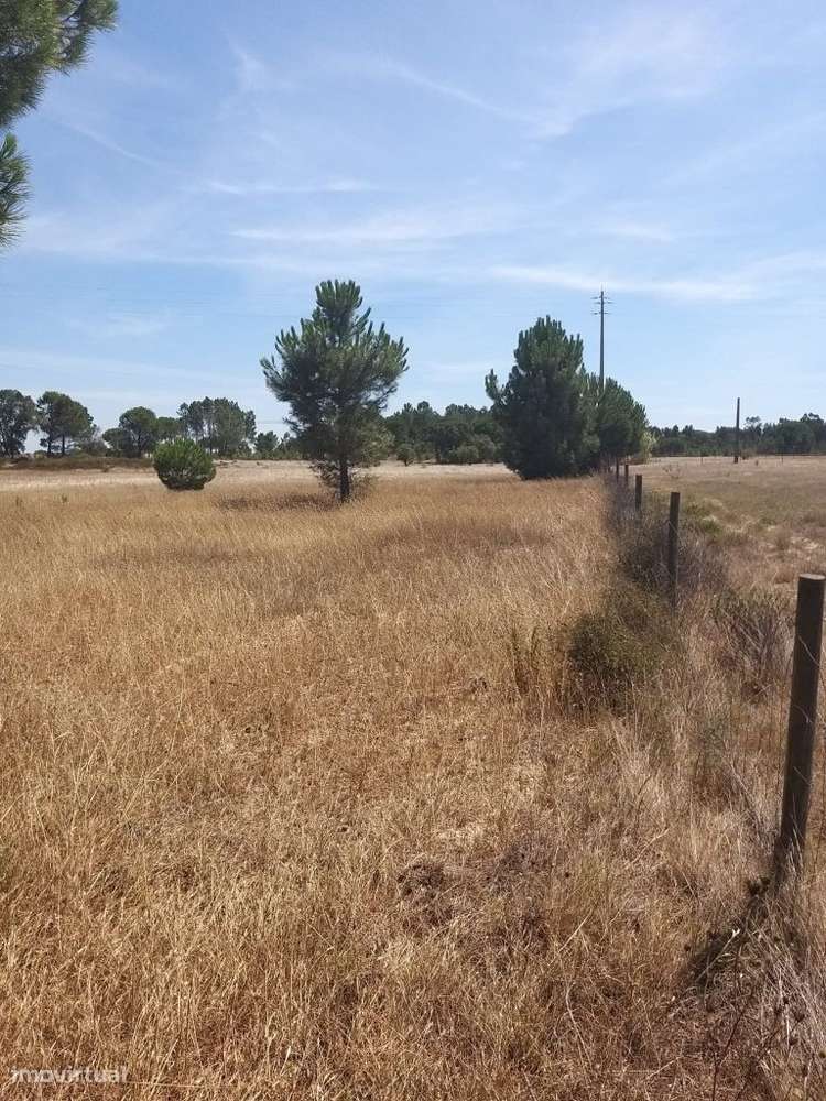 Terreno com 8800m2. Poceirão. - Grande imagem: 4/14