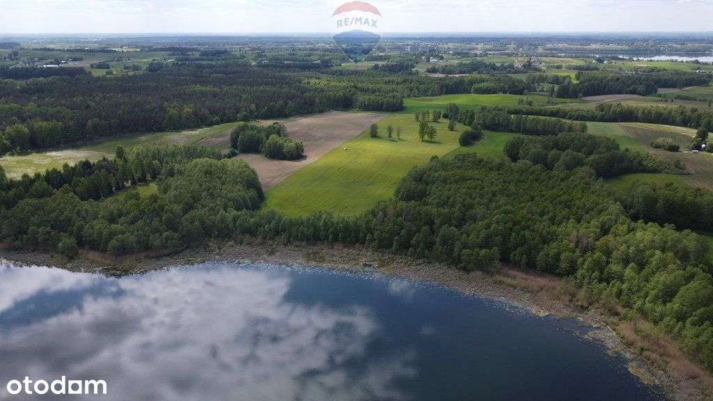 Działka z linią brzegową jeziora Hołny - Pełny obrazek: 5/9