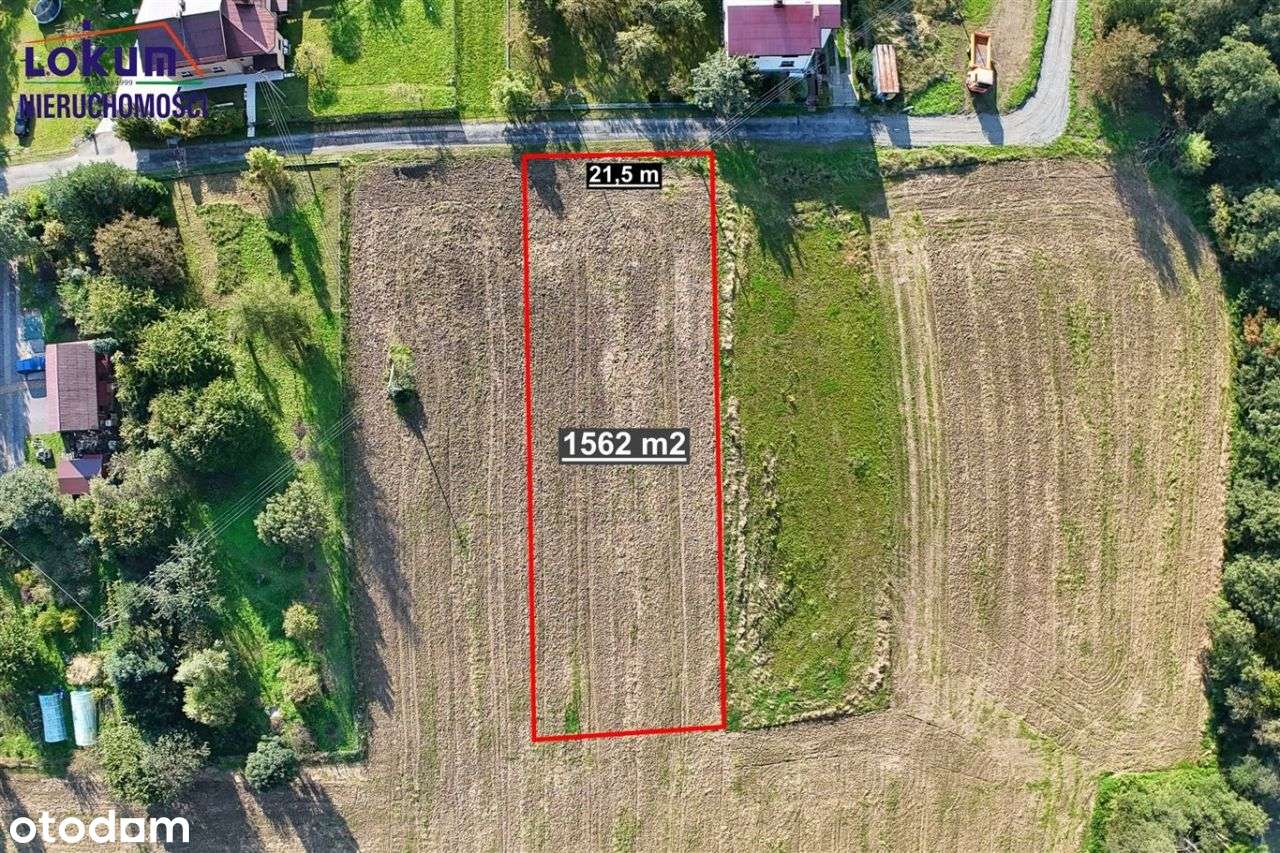 Międzyświeć - działka 1562 m², cisza i zieleń - Pełny obrazek: 4/8