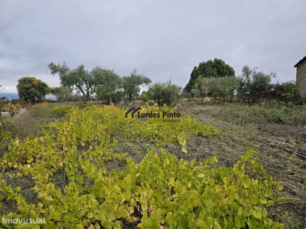 Quinta com construção em pedra-13