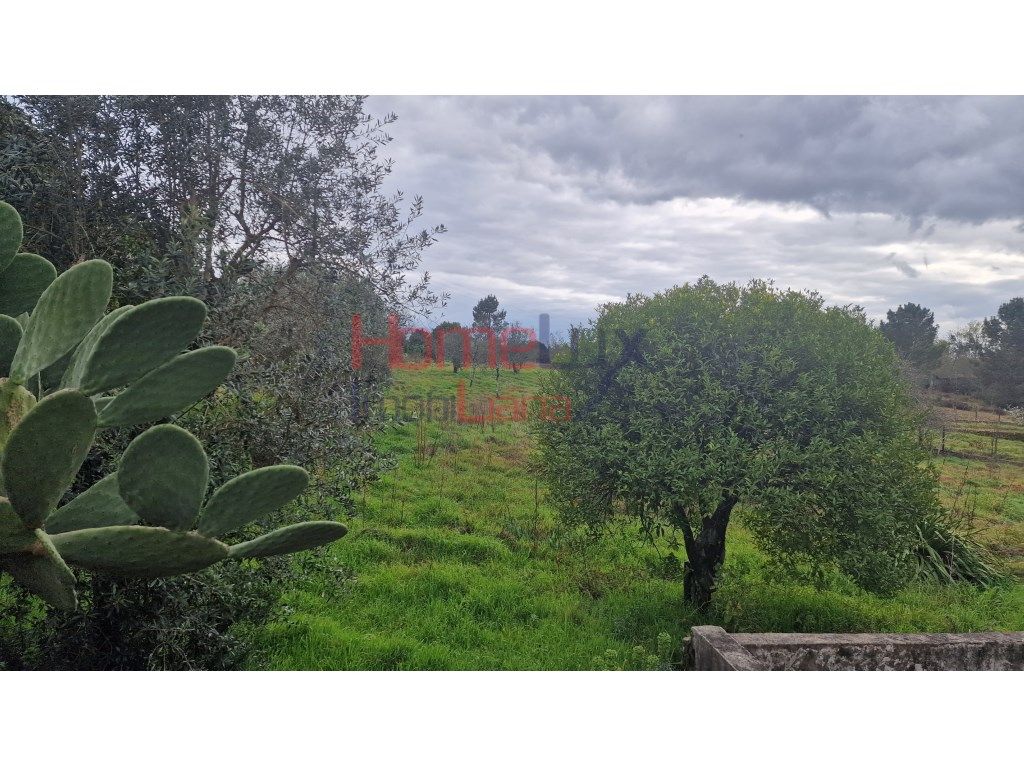 Terreno em Santiago de Besteiros