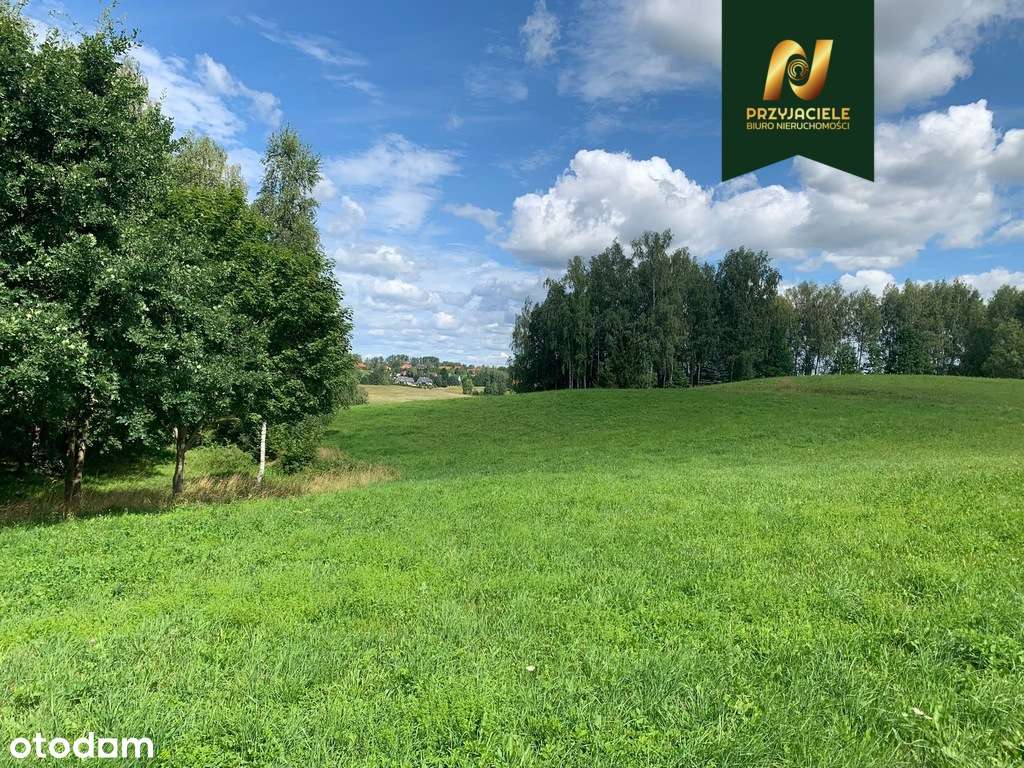 Działka 3008 m2 , 13 km od Olsztyna ! - Pełny obrazek: 5/6