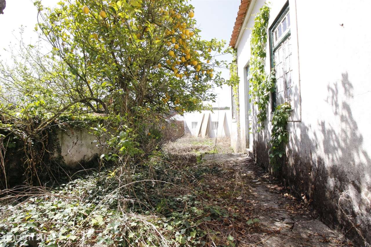 Moradia para Restaurar T8 Venda em Cadaval e Pêro Moniz,Cadaval-28