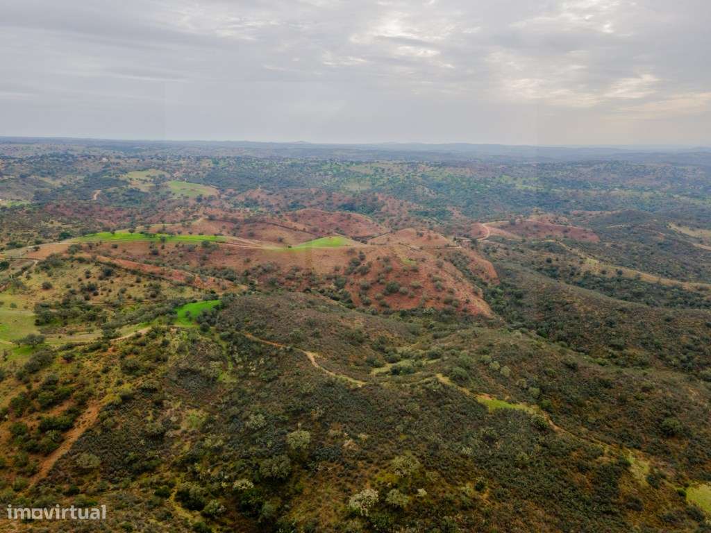 Investimento em Serpa: 6,5ha c/ Viabilidade Turística-6