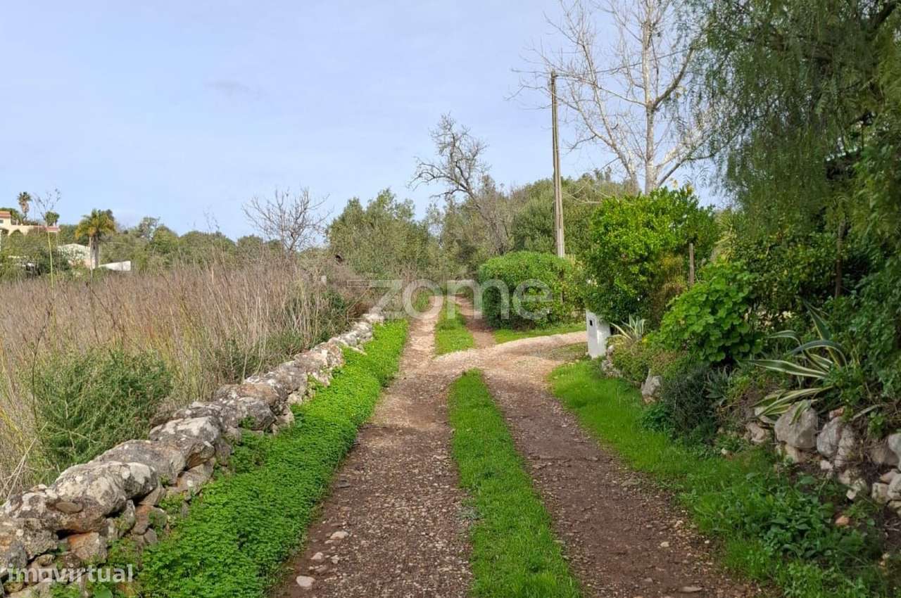Terreno Rústico com 1.600m2 em Poço da Nora, Messines - Grande imagem: 2/16