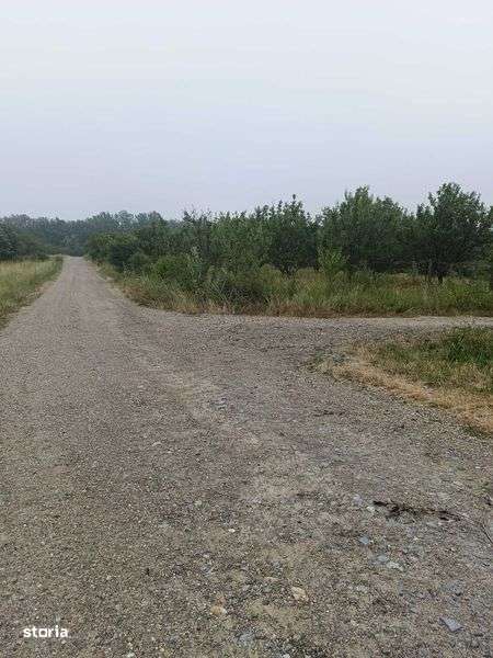 Vand teren in locatie ideala - Imagine principală: 4/6