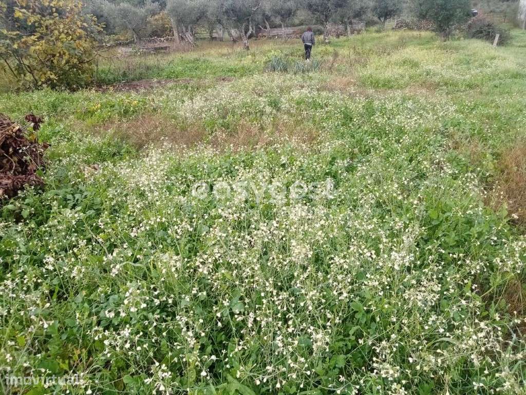 Terreno junto a ribeira, vista para a cascata em Povoa Rio de Moinhos - Grande imagem: 4/13