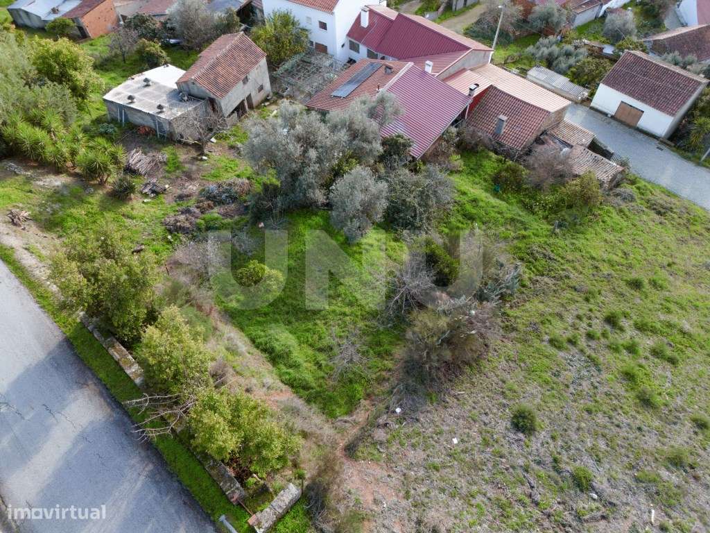 Moradia T3 com Logradouro - Grande imagem: 4/13