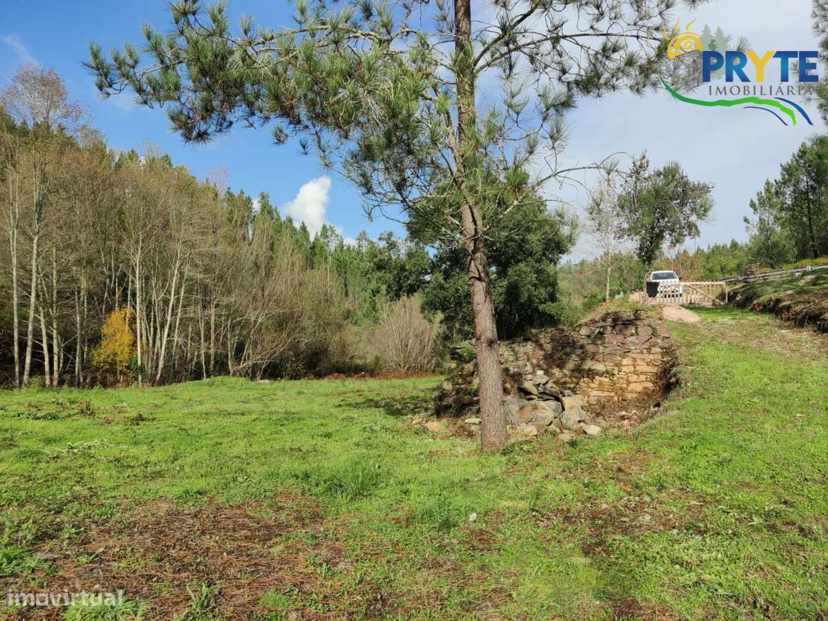 Ruína a confinar com Ribeira-17