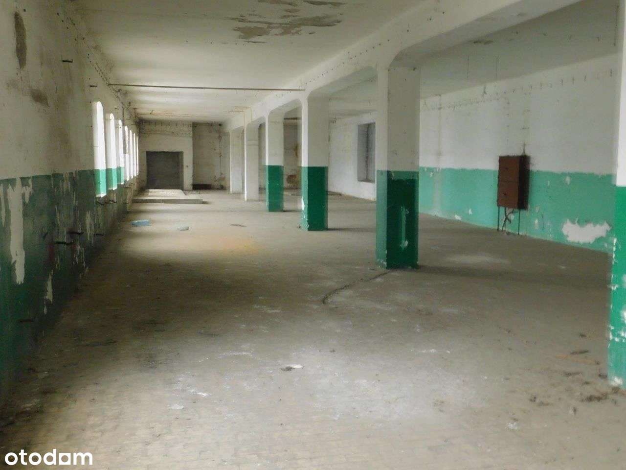 Syndyk sprzeda-Radom ul.Garbarska 27 (dz. nr 6/27) - Pełny obrazek: 5/14