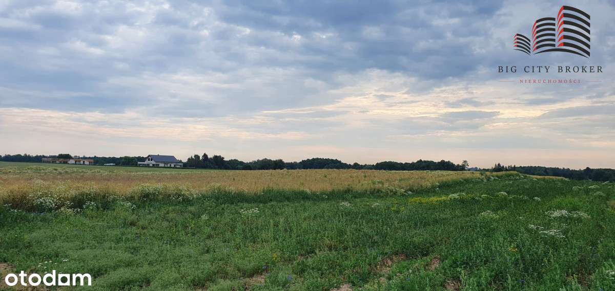 Działka Budowlana W Motyczu - 10 Arów - Pełny obrazek: 5/7