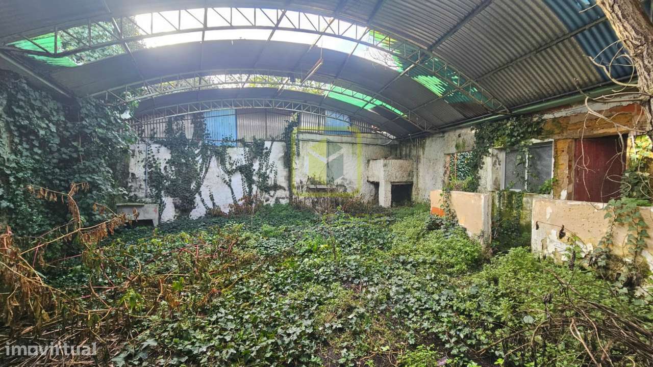 Moradia Térrea em Eixo - Grande imagem: 3/14