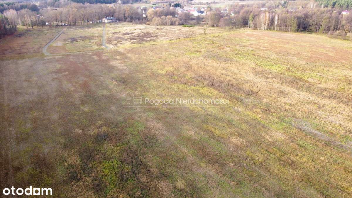 Działki na sprzedaż - Trzebule-16