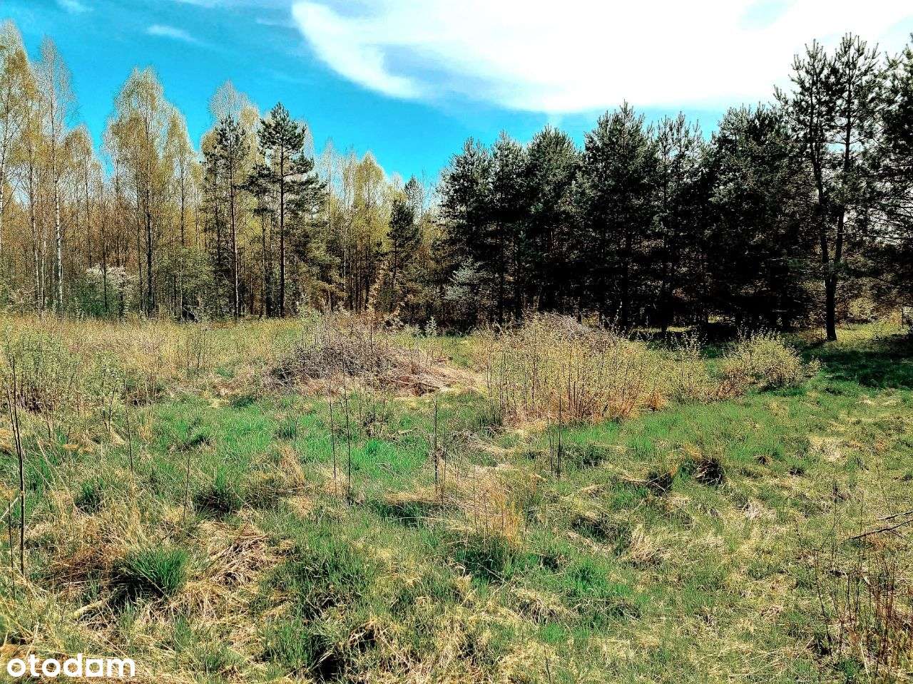 Działka siedliskowa w Zabłudowie. - Pełny obrazek: 3/8