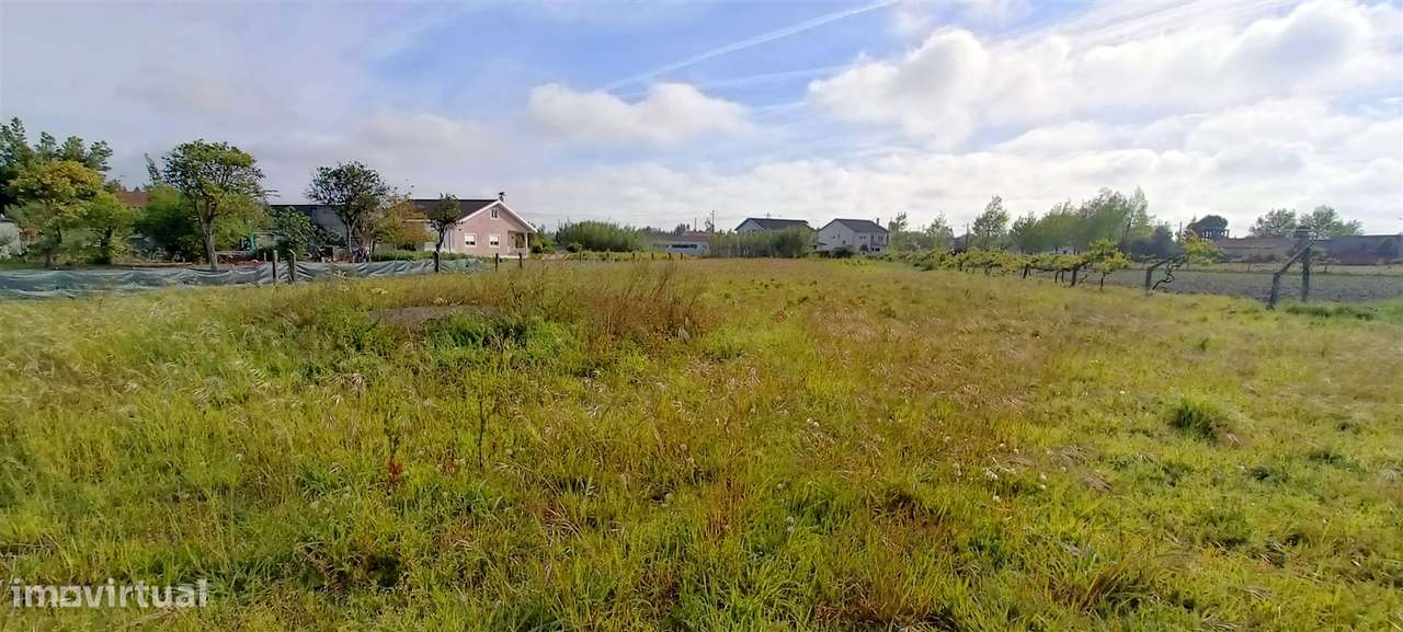 Terreno Para Construção  Venda em Mira,Mira-4