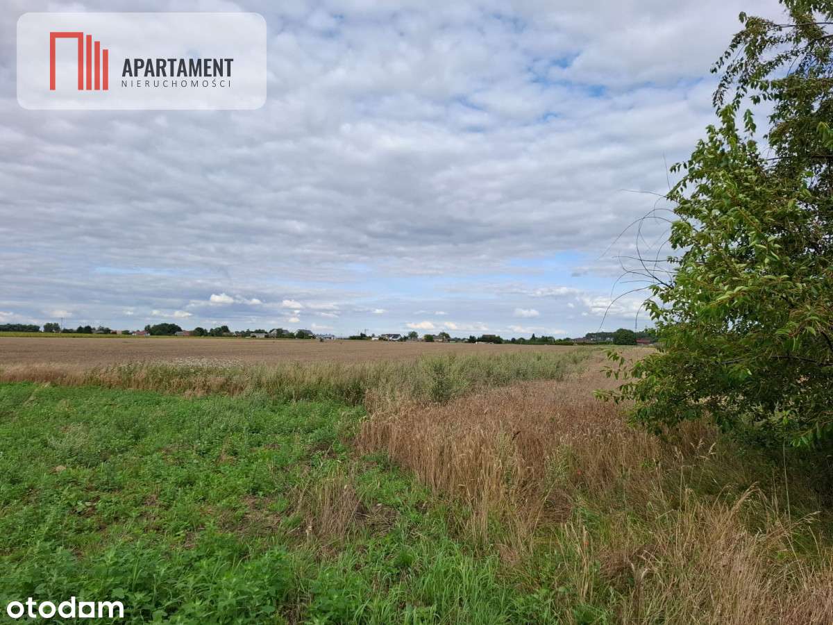 Atrakcyjna działka pod budowę domu tylko 150zł/mkw - Pełny obrazek: 5/5