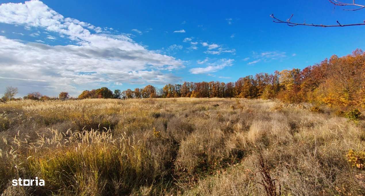 Terenuri intrevilane Comuna Mosoaia - Imagine principală: 3/10