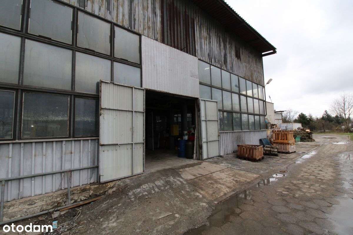 Magazyn, hala na parterze - Podgórze Centrum - Pełny obrazek: 5/16