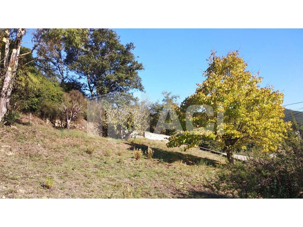 TERRENO MORADIA - Fontes, Leiria - Grande imagem: 2/9