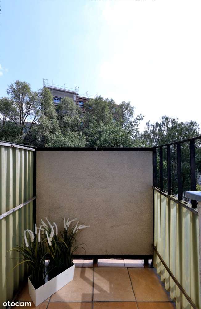 2 pokoje-Tylko za Gotówkę-Grunt uregulowowany-13