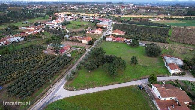 Terreno para construção de moradias em Anadia - Grande imagem: 2/12