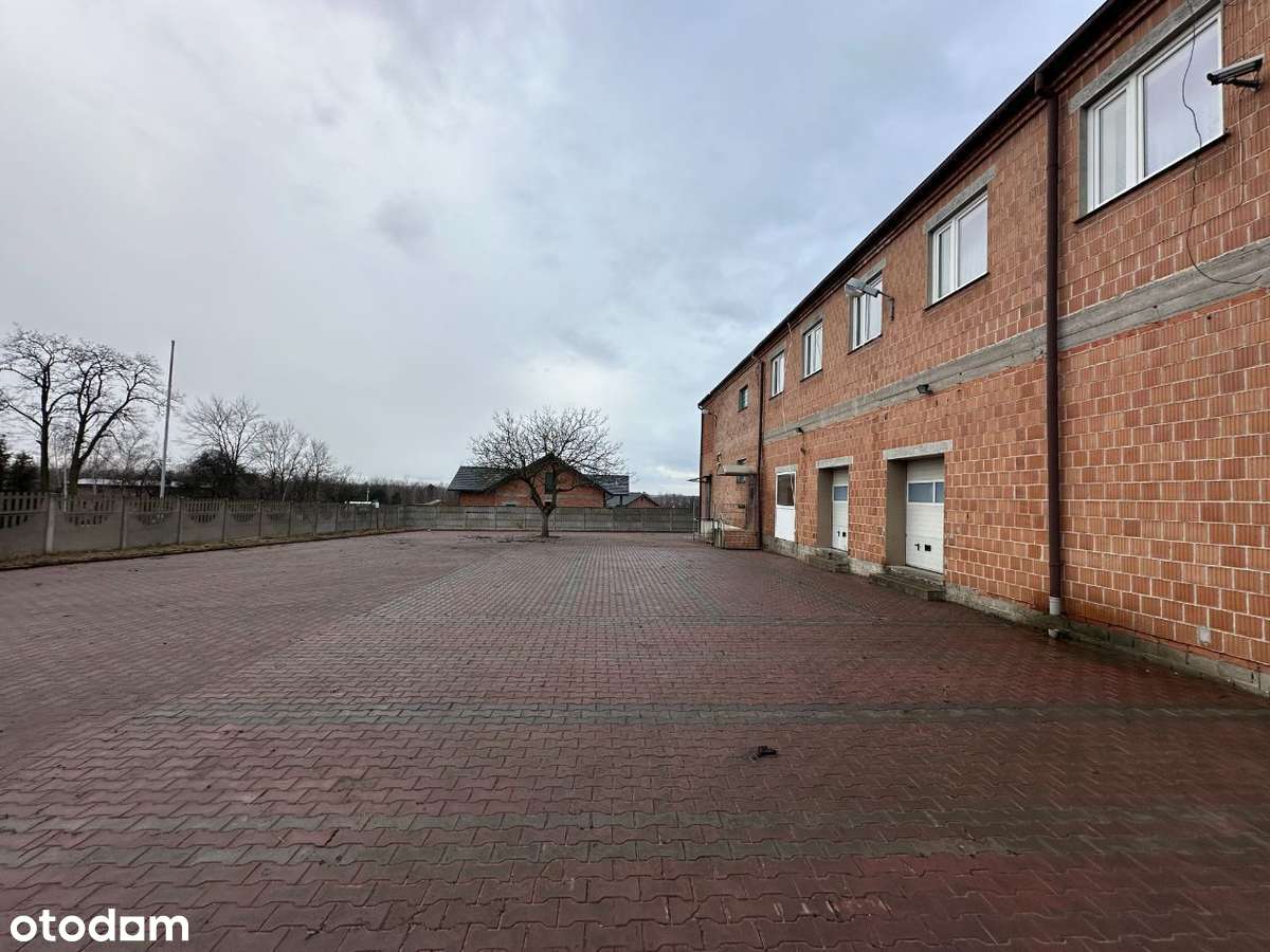 Sprzedam nieruchomość przemysłową Polków 25A - Pełny obrazek: 4/20