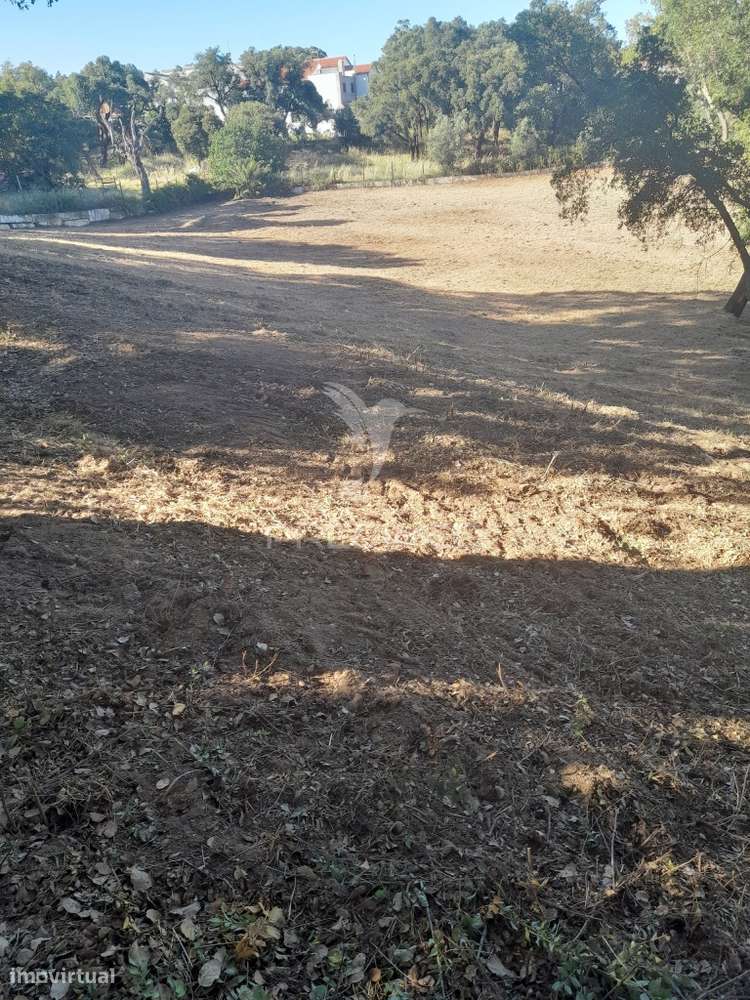 Terreno Rústico com viabilidade de construção "Oportunidade de Inve... - Grande imagem: 2/2