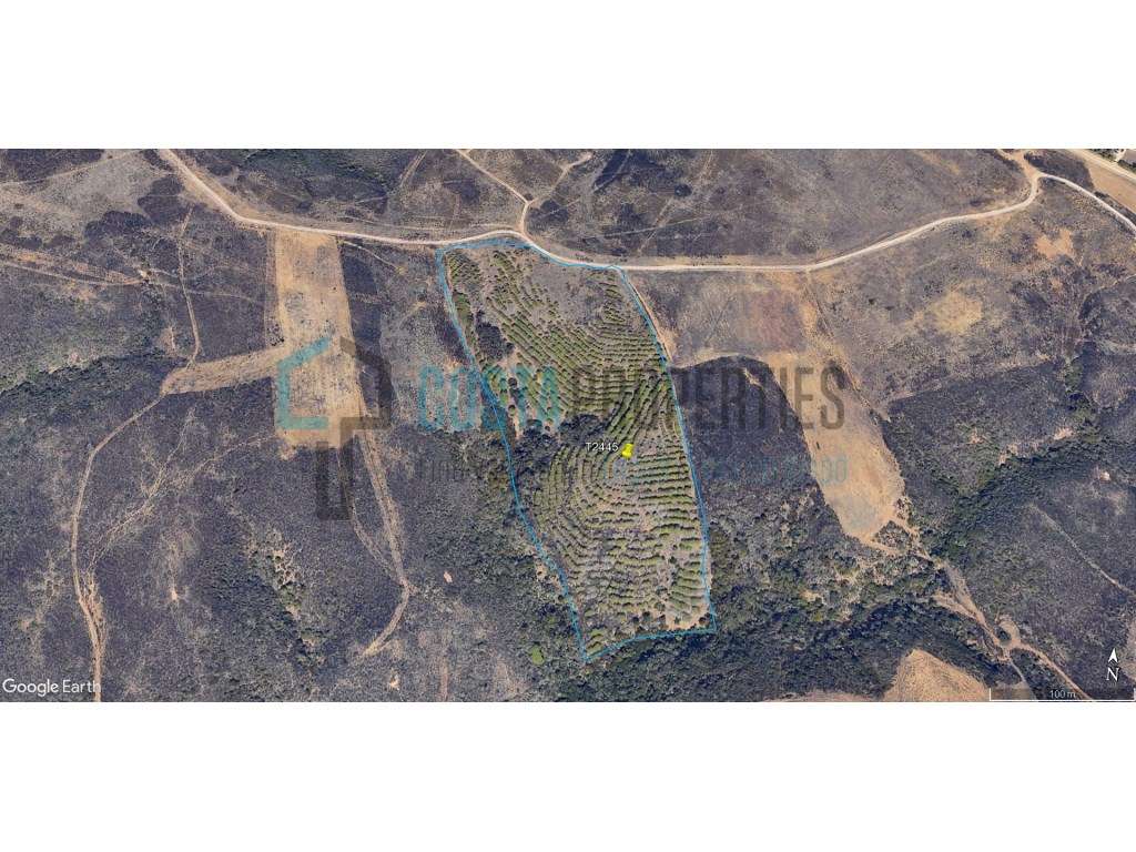 Terreno com Sobreiros a poucos minutos da Vila do Bispo - Grande imagem: 3/16