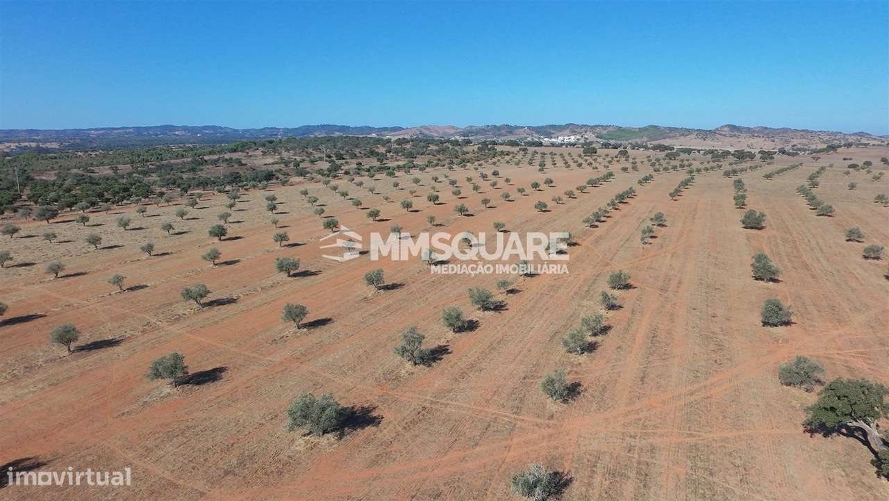 Herdade  Venda em Garvão e Santa Luzia,Ourique-15