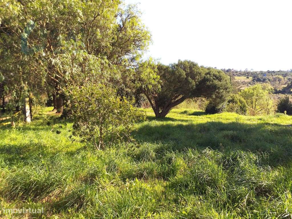 Moradia T6 em Óbidos!-59