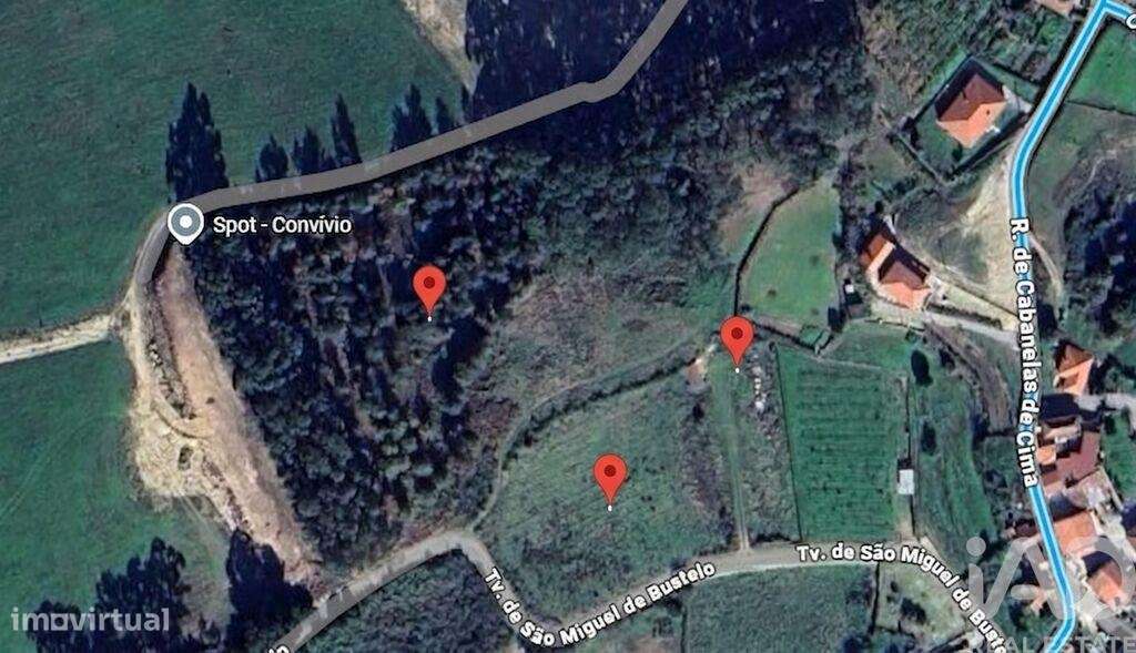 Terreno Agrícola em Bustelo - Grande imagem: 5/11