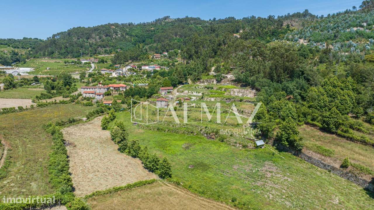 Quinta com Elevado Potencial em Vila Meã – Amarante-24