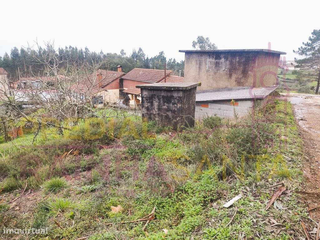 Moradia c/ 5000 m2 terreno , anexos, furo. 16 Km de Coimbra.-19