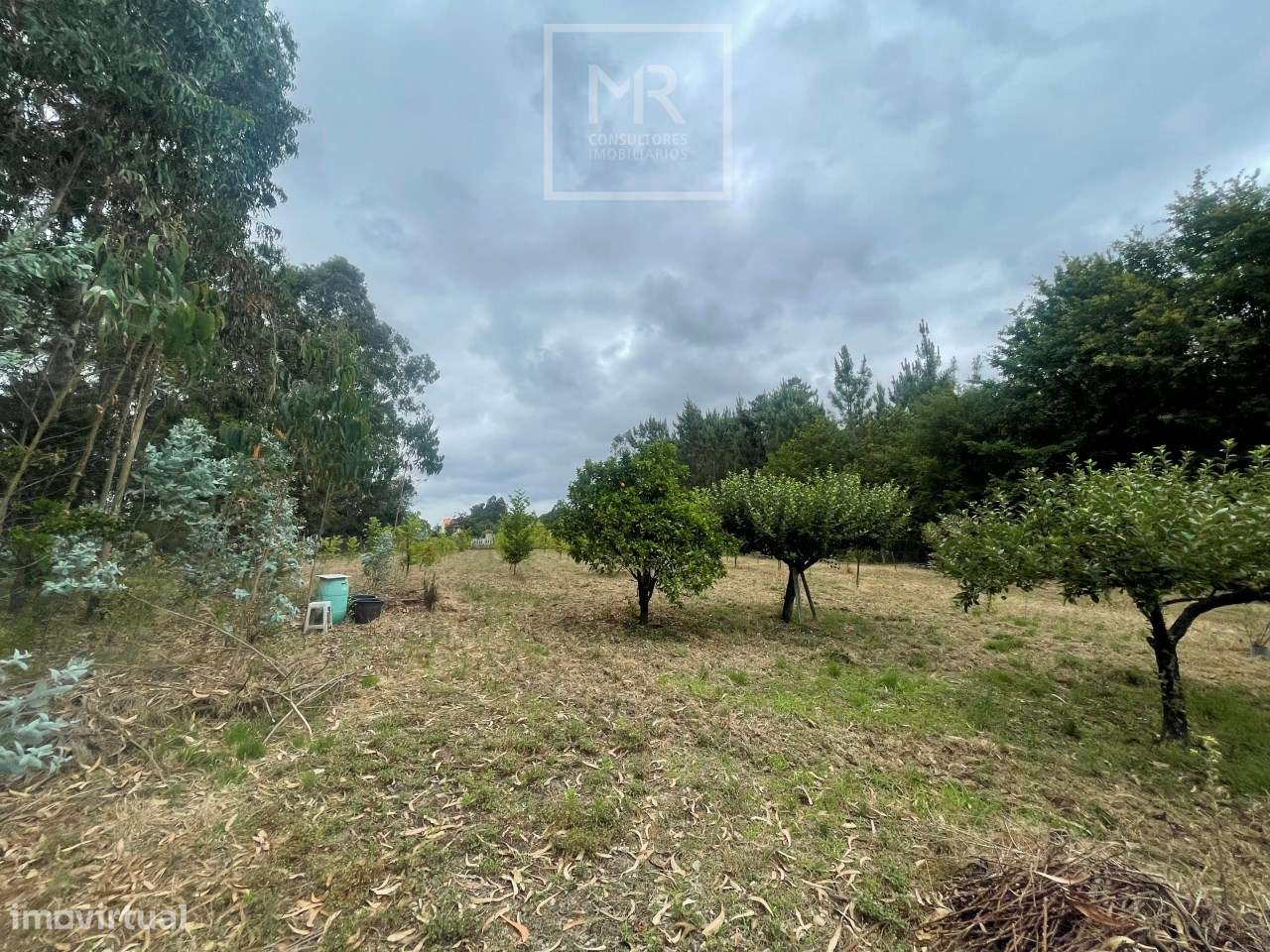 Terreno Rústico  Venda em Avelãs de Caminho,Anadia - Grande imagem: 2/6