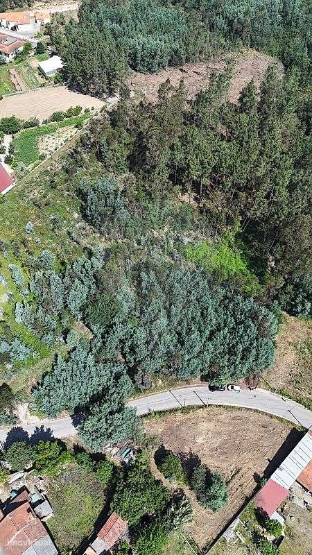 Terreno para construção | 10 min do Centro de Águeda-7