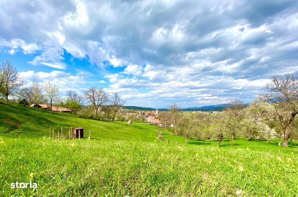 Teren Intravilan De Vanzare In Bran