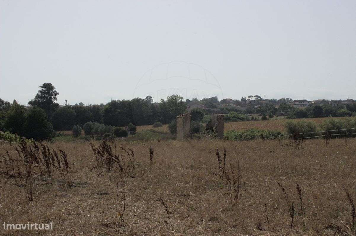 Terreno  para venda - Grande imagem: 4/6